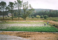 osazovn KOV